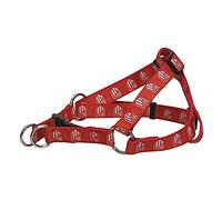 CYP BRANDS Cp-be-01s-atl Non Si Applica, Leather, Multicolore, One Size