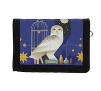 CyP Brands - Harry Potter - Set regalo, portachiavi e portafoglio, confezione regalo, multicolore, prodotto ufficiale