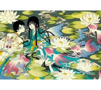CYQFEZ 1000 Pezzi ,Gifts ,Art ,Puzzles ,Irregular Puzzle ,Japanese Animes Xxxholic Posters ,Giocattoli Per La Sfida Della Famiglia ,Gioco Antistress Per Adulti,Yz41Wz