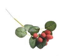 CYRENT Affascinanti frutti finti decorativi tra cui Longan, litchi, mirtilli e ciliegie, perfetti per decorazioni per eventi o uso domestico (H)