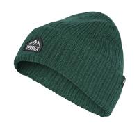Czapka zimowa Adidas Mountain Beanie - court green - Verde (OSFM)