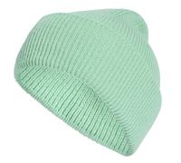 Czapka zimowa Adidas Terrex Multi Beanie - pulse mint (OSFL)