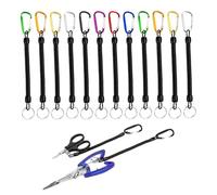 CZAYEFNH Portachiavi Cordino - Blocca Albero con Moschettone Allungabile, Portachiavi da Molla Moschettone per Tutte Le Attività All'aperto - Confezione da 12 pezzi