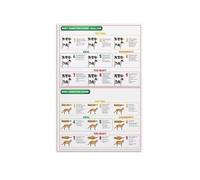 CZMDKEXM Dog Cat Weight Guide Metal Tin Sign Body Condition Score Chart Informational Reference For Pet Health Awareness And Veterinary Clinic Wall Decor 8 X 12 in