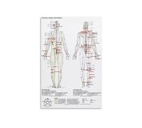 CZMDKEXM Five Elements Theory Metal Sign TCM Meridian Chart With Acupuncture Points Traditional Chinese Medicine Study Reference For Classroom Or Office 8 X 12 in
