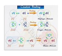 CZMDKEXM Homeschool and School Teaching Aid STEM Chemistry Poster Chemical Bonding Chart Educational Decor for Classroom or Study Room 8 X 12 in