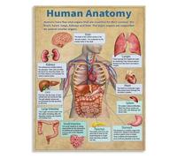 CZMDKEXM Human Anatomy Chart Body Systems Poster Science Biology Educational Print for School Classroom Decor(Unframed,08x12inch(20x30cm))