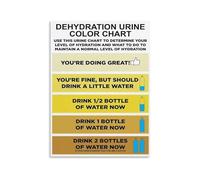 CZMDKEXM Urine Color and Hydration Level Chart Health Educational Poster Body Water Reference Guide for Clinic Gym Home Office 8 X 12 in