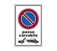 D&B Cartello All. mm.300X200 Passo Carrabile C/Figura