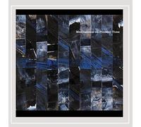 D. Bayne - Meditations On Present Time