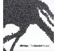 D-Bridge - The Gemini Principle