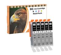 D&C 571 XL Cartucce d'inchiostro Sostituzione per Canon PGI-570 CLI-571GY Compatibile per Canon PIXMA MG5750 MG6850 MG6851 TS5050 TS5055 TS6050 TS6051 TS6052 MG5700 MG5751 MG6800 (5 Grigio)