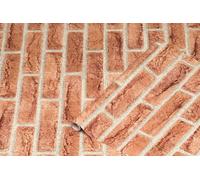 d-c-fix pellicola adesiva per mobili - Ahaus Rosso 45 cm x 2 m | pellicola decorativa lavabile e autoadesiva per cucina, armadio, tavolo & davanzale - moderna & sostenibile