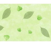 d-c-fix tovaglia plastificata Manhattan Nancy verde - cerata PVC antimacchia impermeabile moderno - copritavolo plastica tavolo per uso interno ed esterno - 150 cm rotonda