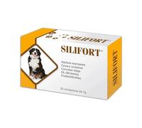 SILIFORT 30CPR 1G