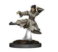 D&D Icons of the Realms Premium Figures: Human Monk Female