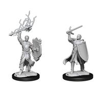 D&d Nolzur's Marvelous Miniatures Unpainted Miniatures Half-elf Paladin Male Cas