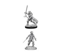 D&D Nolzur's Marvelous Miniatures - Vampire Hunters