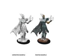 D&D Nolzur's Marvelous Unpainted Miniatures: Cloud Giant