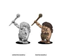 D&D Nolzur's Marvelous Unpainted Miniatures: Hill Giant