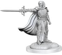 D&D Nolzur's Meravigliose Miniature Non Dipinte (W20) Cavalieri Della Morte