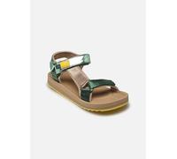 D Franklin - FOREST Verde - Sandali e scarpe aperte 38 Verde