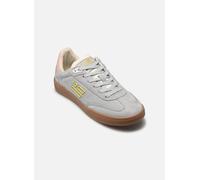 D Franklin - Rebel 387 Blu - Sneakers 37 Blu