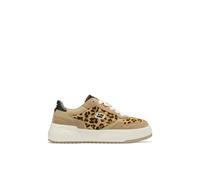 D.Franklin Scarpe Sportive da Donna Court Flag Leopardo - Scarpe Eleganti da Donna - Moda Casuale - Taglia (41) - Modello Court