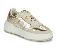 D.Franklin Sneakers basse 321 COURT in Oro 36