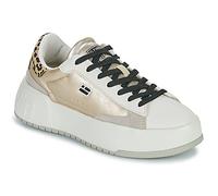 D.Franklin Sneakers basse COURT 321 in Bianco 41