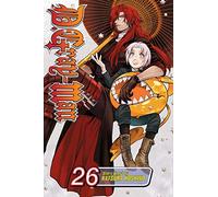 D.gray-man 26: Secrets And Remains