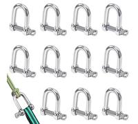 D Grilli, 12 Pezzi M5 Grillo in Acciaio Inox, Grillo con Anello a D, Grillo Dritto Catena a Vite per Collegamenti Rapidi e Grilli Fissi, per Escursionismo Catena di ancoraggio Vela