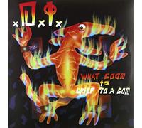 D.I. What Good Is Grief To A God? (Vinyl LP)