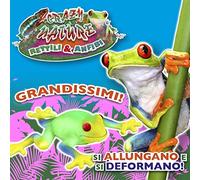 D-KIDZ - Crazy Nature Rettili & Anfibi (Assortimento), DIM02124P