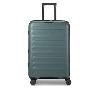 d&n Toronto 4 ruote Carrello M 65 cm espandibile verde