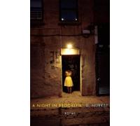 D. Nurkse A Night in Brooklyn (Tascabile)
