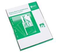 D.RECT 009031, Buste Perforate Trasparenti, A4 / 55 Micron, 100 Unità/Busta Forata/Trasparente Perforato/Lucide, Finitura liscia/Tasche in Polipropilene/Imballaggio in Cartone