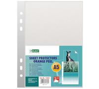 D.RECT 100 Buste per Documenti Formato A5, Custodia Antistatica, Organizzazione Documenti, Con Grana