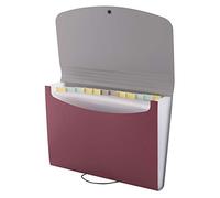 D.RECT 5888 Cartella Documenti Espandibile | Smistatore di Documenti | Selezionatore di Documenti A4 | Cartella a Fisarmonica | Cartella Tascabile per Documenti 12 Scomparti | Rosso