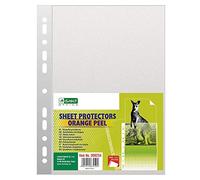 D.RECT | Buste Perforate | Formato A4 | 40 Micron | Confezione da 100 Unità | Polipropilene Buccia d'Arancia, Granulato | Busta Forata | Trasparente Perforato | Tasche in Polipropilene