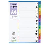 D.RECT Registro per formato A4, PP12, 12 divisori, raccoglitori ad anelli, linguette con numeri 1-12, multicolore, separatore di colore in PP, polipropilene