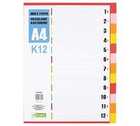 D.RECT - Divisori per A4, K12, 12 divisori, divisori ad anelli, tabelle con numeri da 1 a 12, multicolore