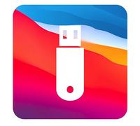 D-S Systems Installazione USB Compatibile con macOS 11 Big Sur OS X su Chiavetta USB Avviabile per L'installazione o L’aggiornamento
