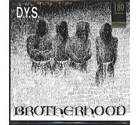 D.Y.S. - Brotherhood