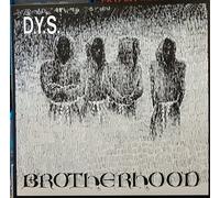 D.Y.S. - Brotherhood