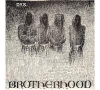D.Y.S. Brotherhood (Vinyl LP) 12" Album