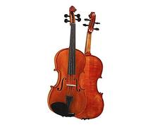 D Z Strad viola modello 101 con archi, cassa, arco, spalliera e colofonia (41,9 cm - dimensione)