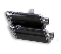 D005CR - Terminali Racing Termignoni Carbonio Ducati STREETFIGHTER 848/1098