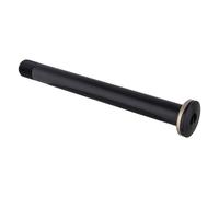 D2 Swiss RWS Thru Skewers Hub RWS Plug In Rd Ft Aly 100x12mm No Lever Thru Bolt