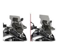 D5143S - Cupolino Givi fumé 43x38.5cm BMW R 1300 GS (24)